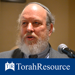 The TorahResource Podcast