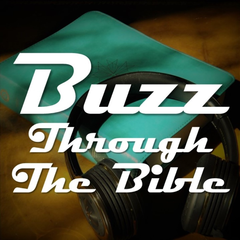 Buzz Through The Bible