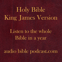 ABP - King James Version - Straight Through - January Start